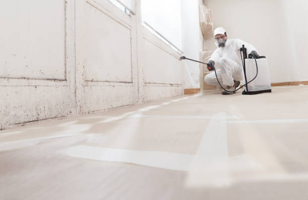 24/7 Emergency Mold Remediation experts in Fremont, NC