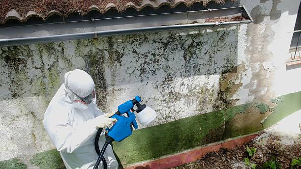 Top rated local Mold Remediation specialists in Fremont, NC